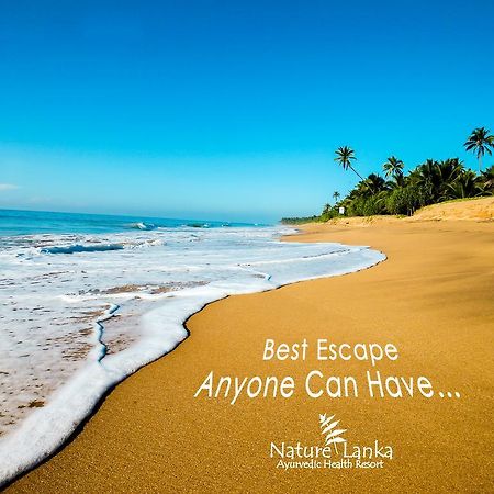 Nature Lanka Ayurveda Resort - All Meals And Ayurveda Treatments With Yoga Tangalle Exteriér fotografie