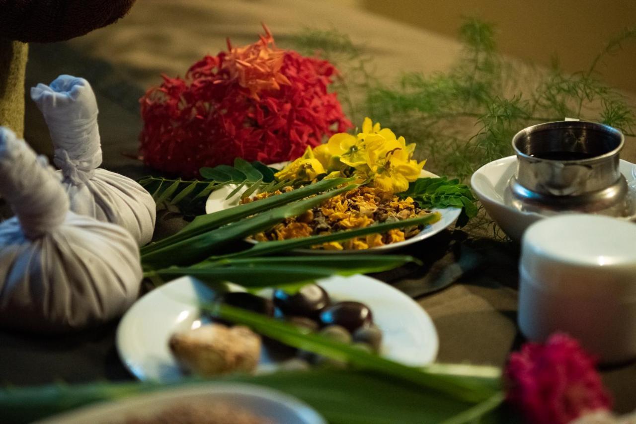 Nature Lanka Ayurveda Resort - All Meals And Ayurveda Treatments With Yoga Tangalle Exteriér fotografie