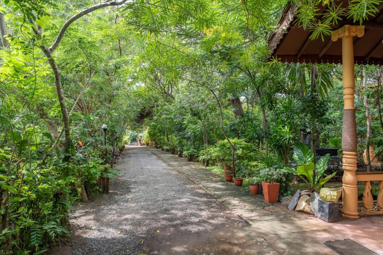 Nature Lanka Ayurveda Resort - All Meals And Ayurveda Treatments With Yoga Tangalle Exteriér fotografie
