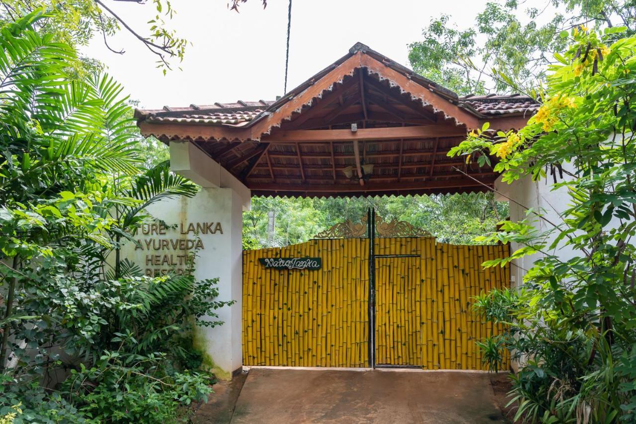 Nature Lanka Ayurveda Resort - All Meals And Ayurveda Treatments With Yoga Tangalle Exteriér fotografie