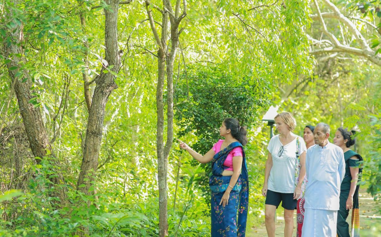 Nature Lanka Ayurveda Resort - All Meals And Ayurveda Treatments With Yoga Tangalle Exteriér fotografie