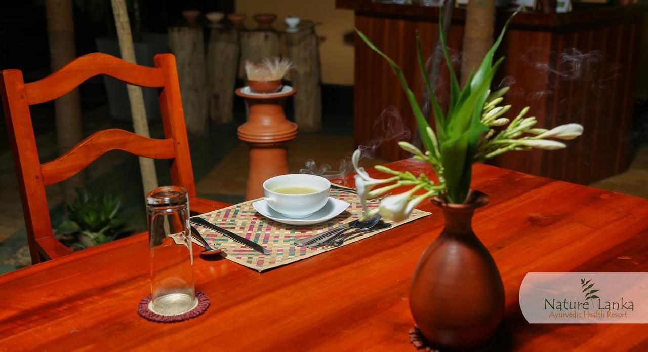 Nature Lanka Ayurveda Resort - All Meals And Ayurveda Treatments With Yoga Tangalle Exteriér fotografie