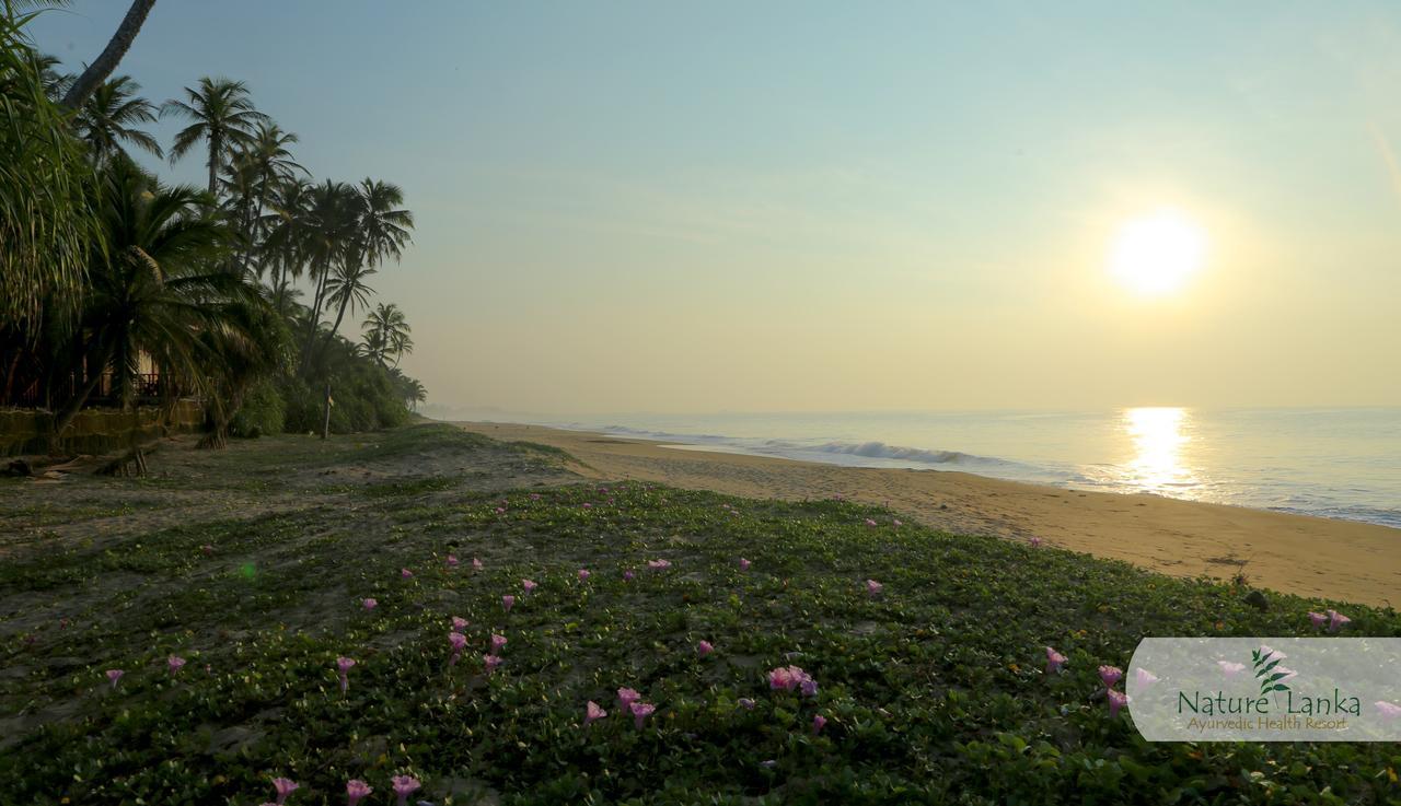 Nature Lanka Ayurveda Resort - All Meals And Ayurveda Treatments With Yoga Tangalle Exteriér fotografie