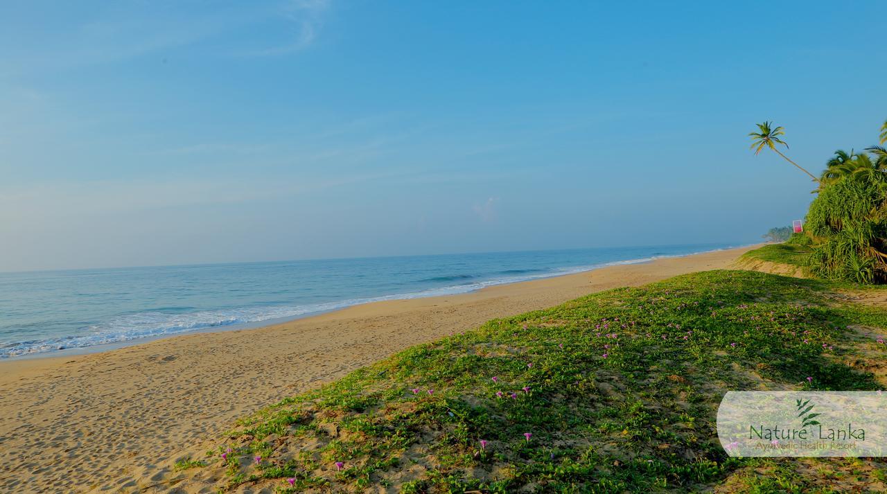 Nature Lanka Ayurveda Resort - All Meals And Ayurveda Treatments With Yoga Tangalle Exteriér fotografie
