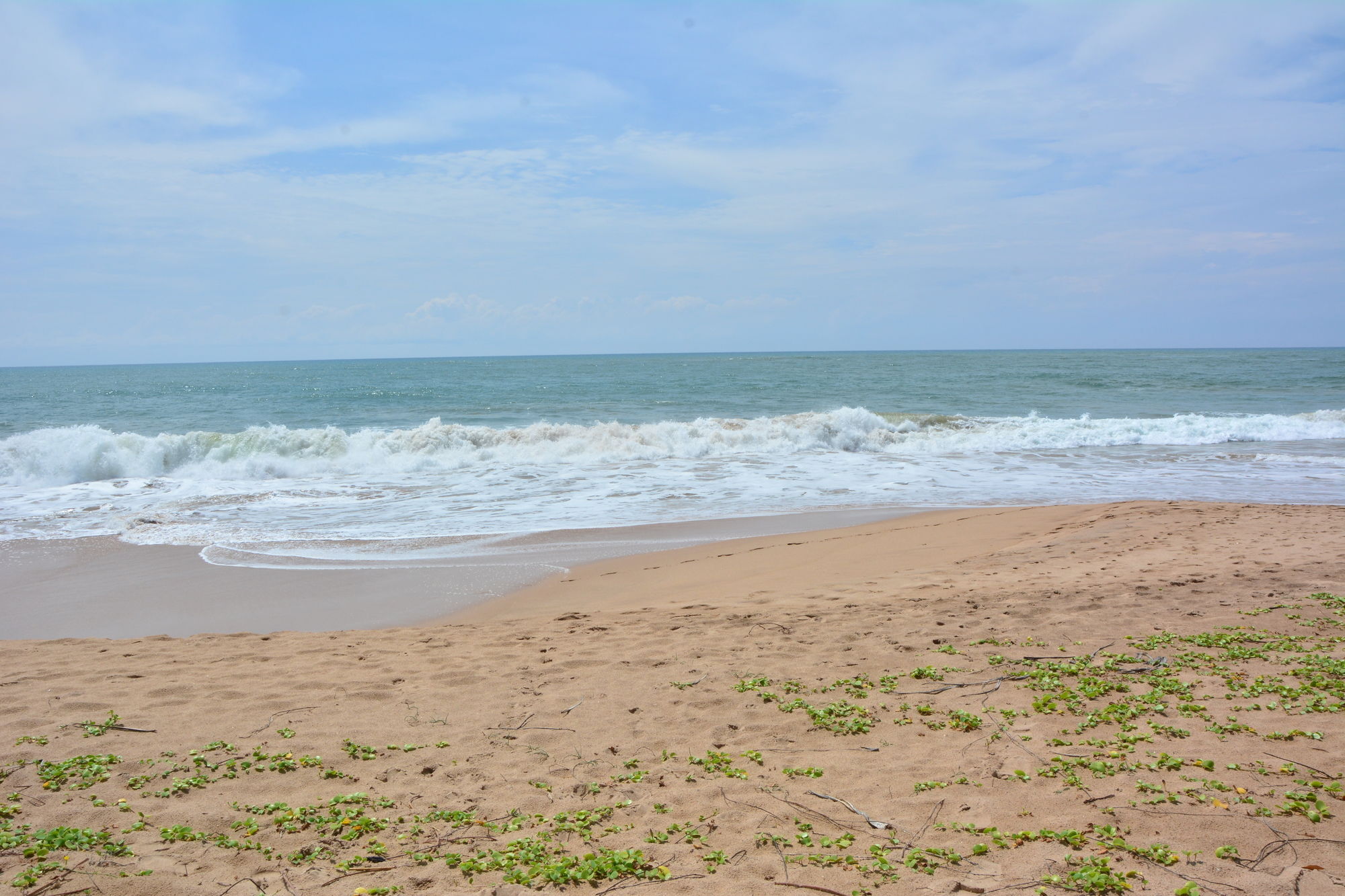 Nature Lanka Ayurveda Resort - All Meals And Ayurveda Treatments With Yoga Tangalle Exteriér fotografie