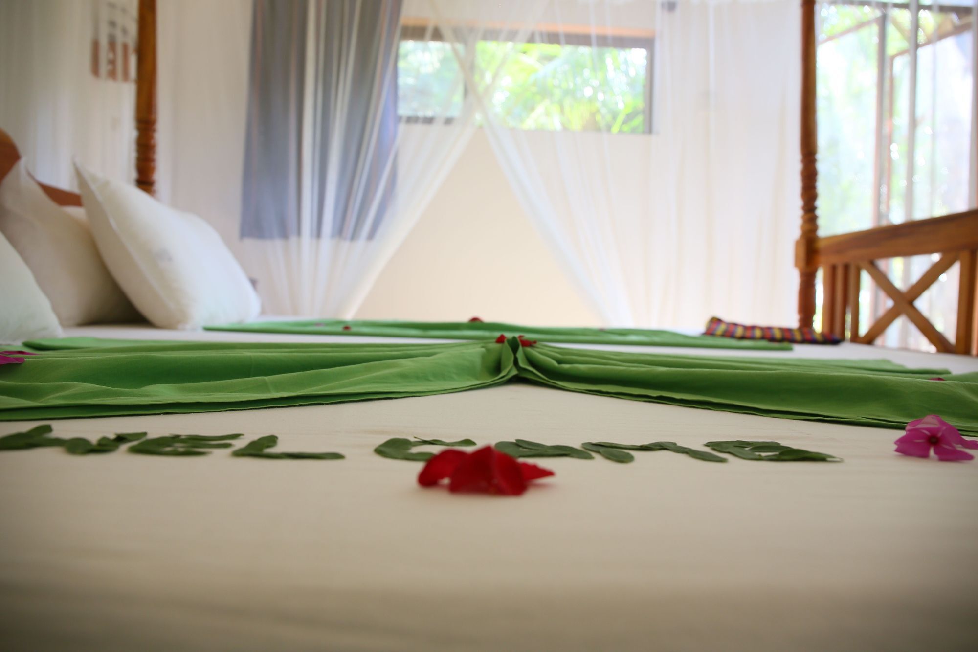 Nature Lanka Ayurveda Resort - All Meals And Ayurveda Treatments With Yoga Tangalle Exteriér fotografie